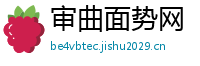 审曲面势网